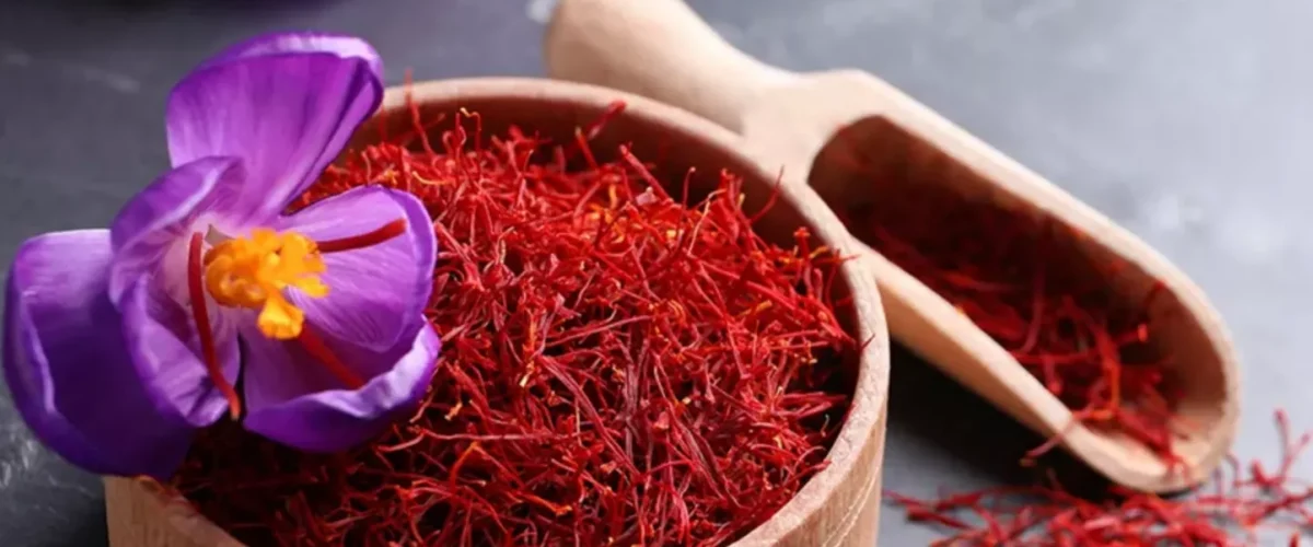 Premium kashmiri saffron 1g 100 pure grade 1 kesar from 20240409012247 1200x500