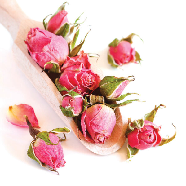 Dried Damask Rose Buds